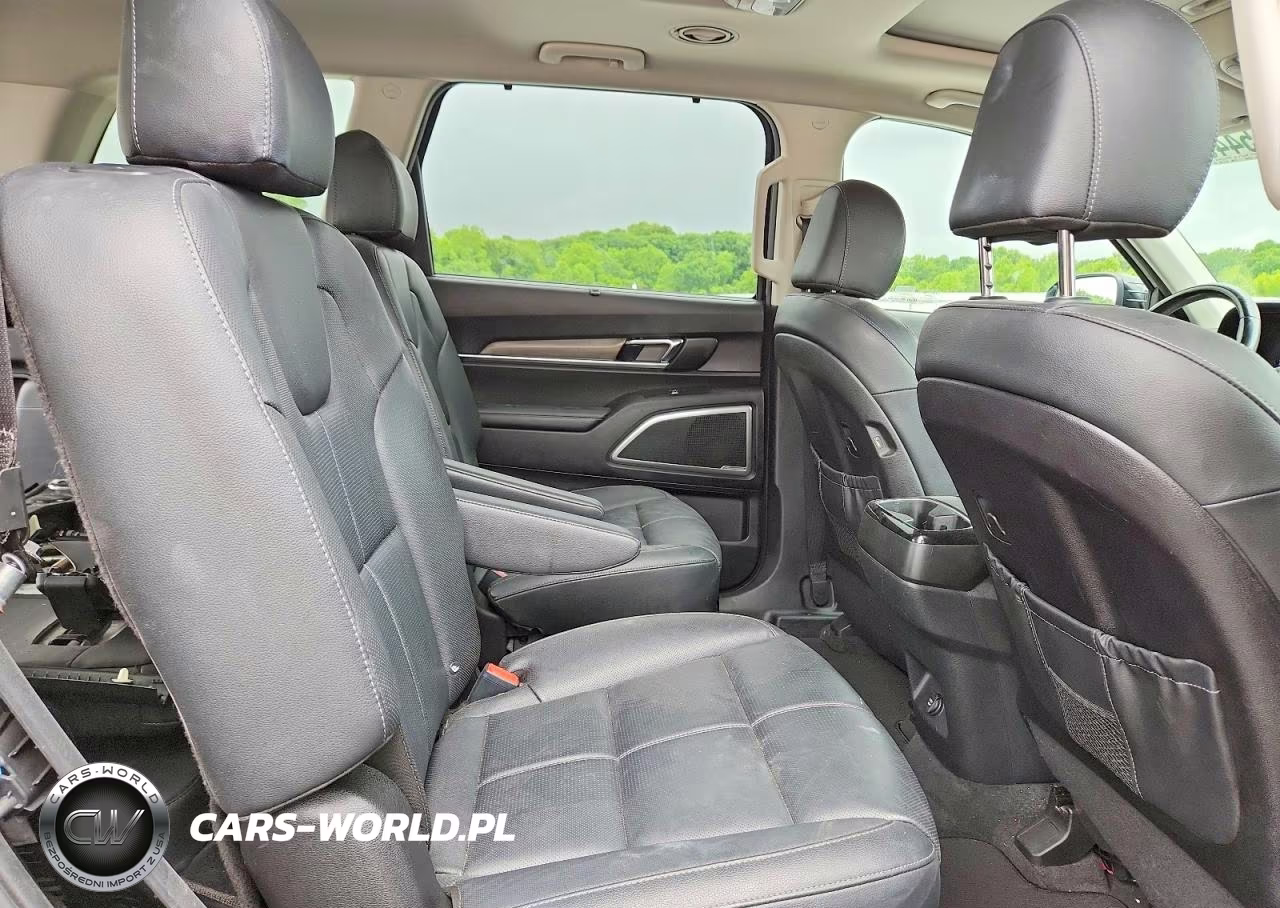 2021 Kia Telluride Ex VIN:5XYP3DHC3MG178741 - 11