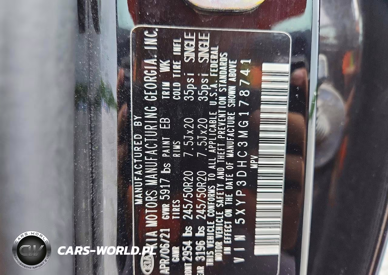 2021 Kia Telluride Ex VIN:5XYP3DHC3MG178741 - 13