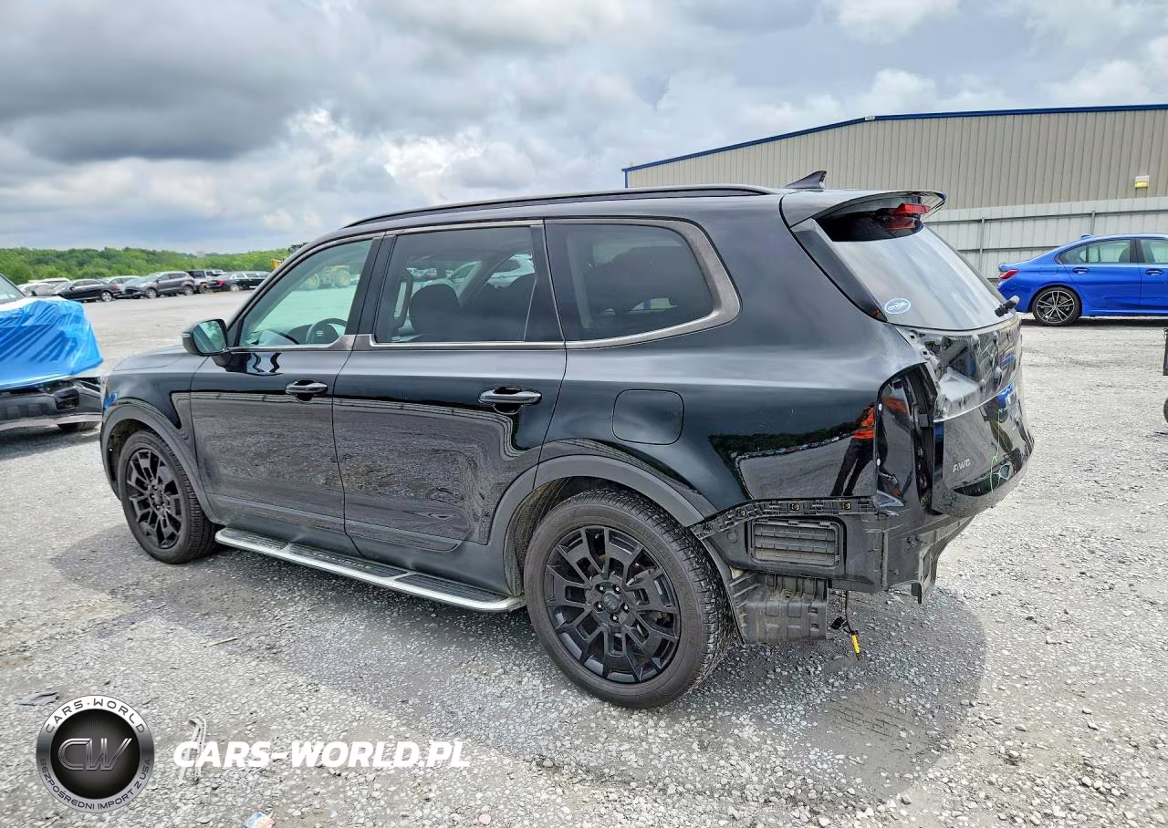2021 Kia Telluride Ex VIN:5XYP3DHC3MG178741 - 2