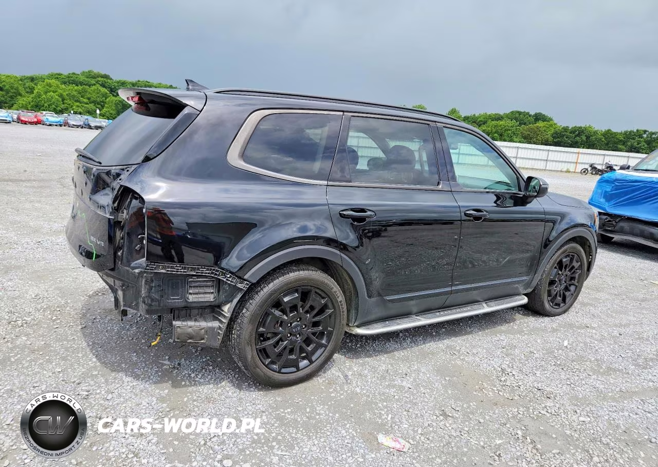 2021 Kia Telluride Ex VIN:5XYP3DHC3MG178741 - 3