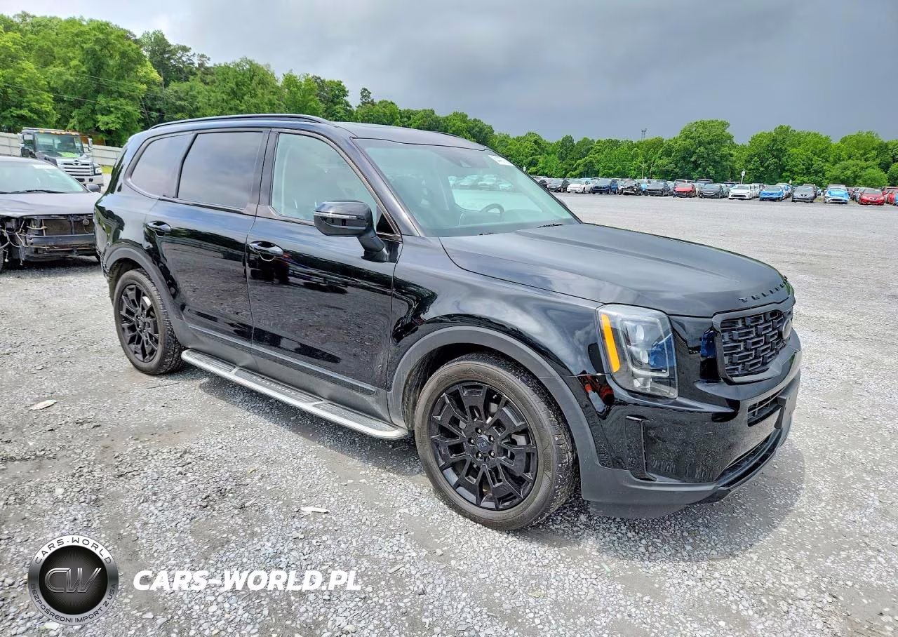 2021 Kia Telluride Ex VIN:5XYP3DHC3MG178741 - 4