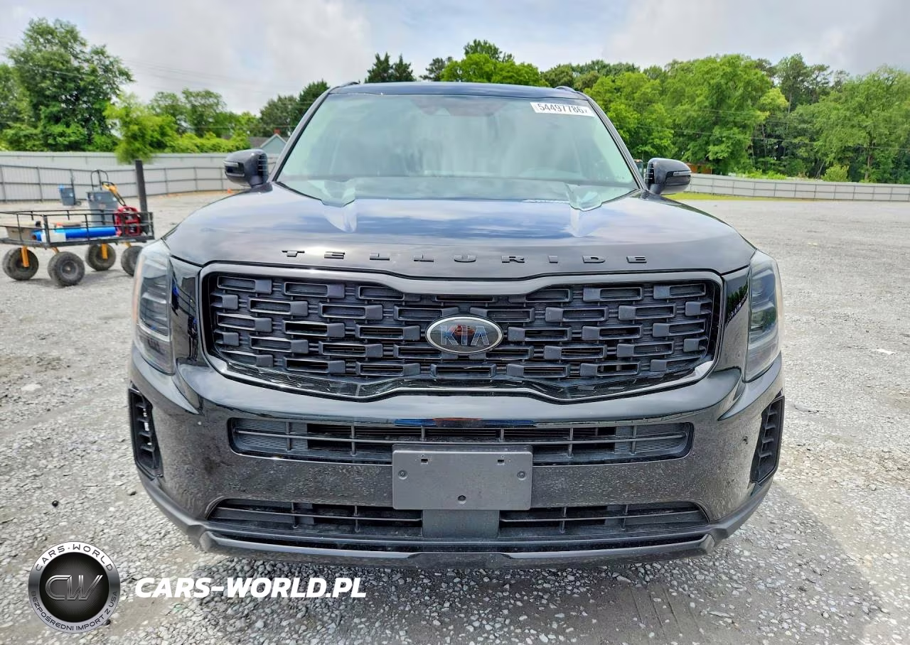 2021 Kia Telluride Ex VIN:5XYP3DHC3MG178741 - 5