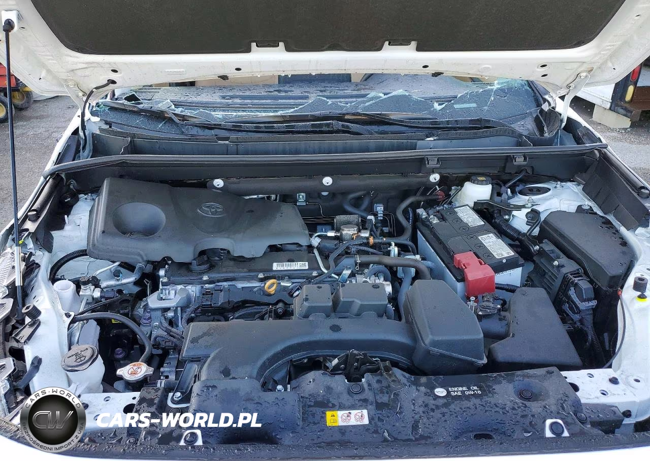 2025 Toyota Rav4 Xle VIN:2T3W1RFV9SC353691 - 11