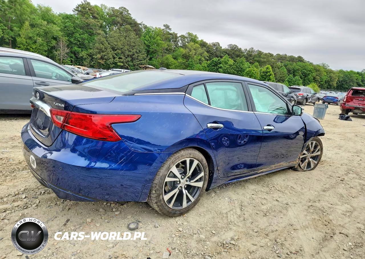 2017 Nissan Maxima Platinum VIN:1N4AA6AP8HC364120 - 3