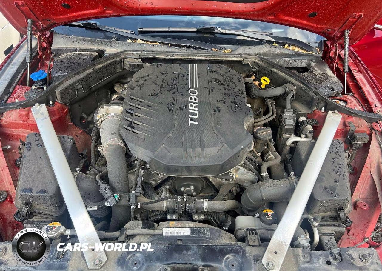 2019 Genesis G70 Elite VIN:KMTG74LE7KU026830 - 7