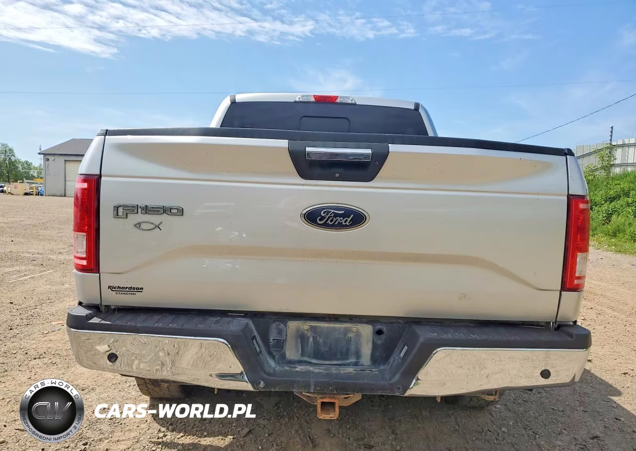 2017 Ford F150 Supercrew VIN:1FTEW1EF0HFC10498 - 6