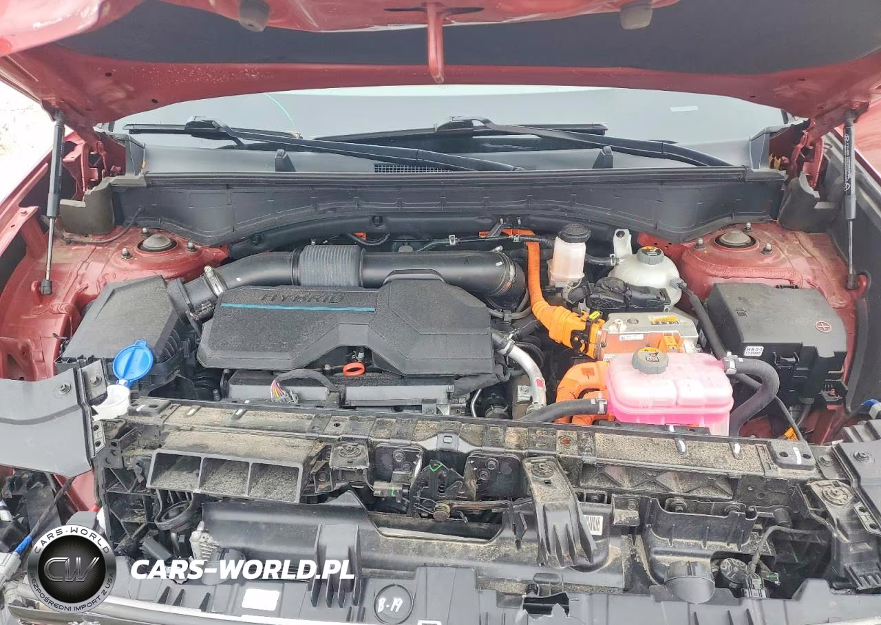 2024 Hyundai Santa Fe Limited VIN:5NMP34G13RH001393 - 12