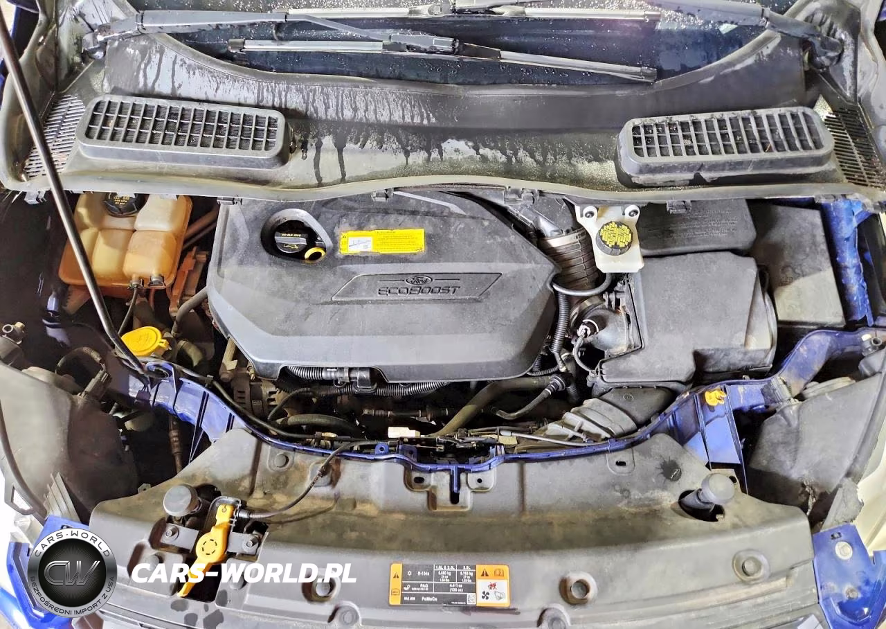 2015 Ford Escape Se VIN:1FMCU9GX3FUB09025 - 12