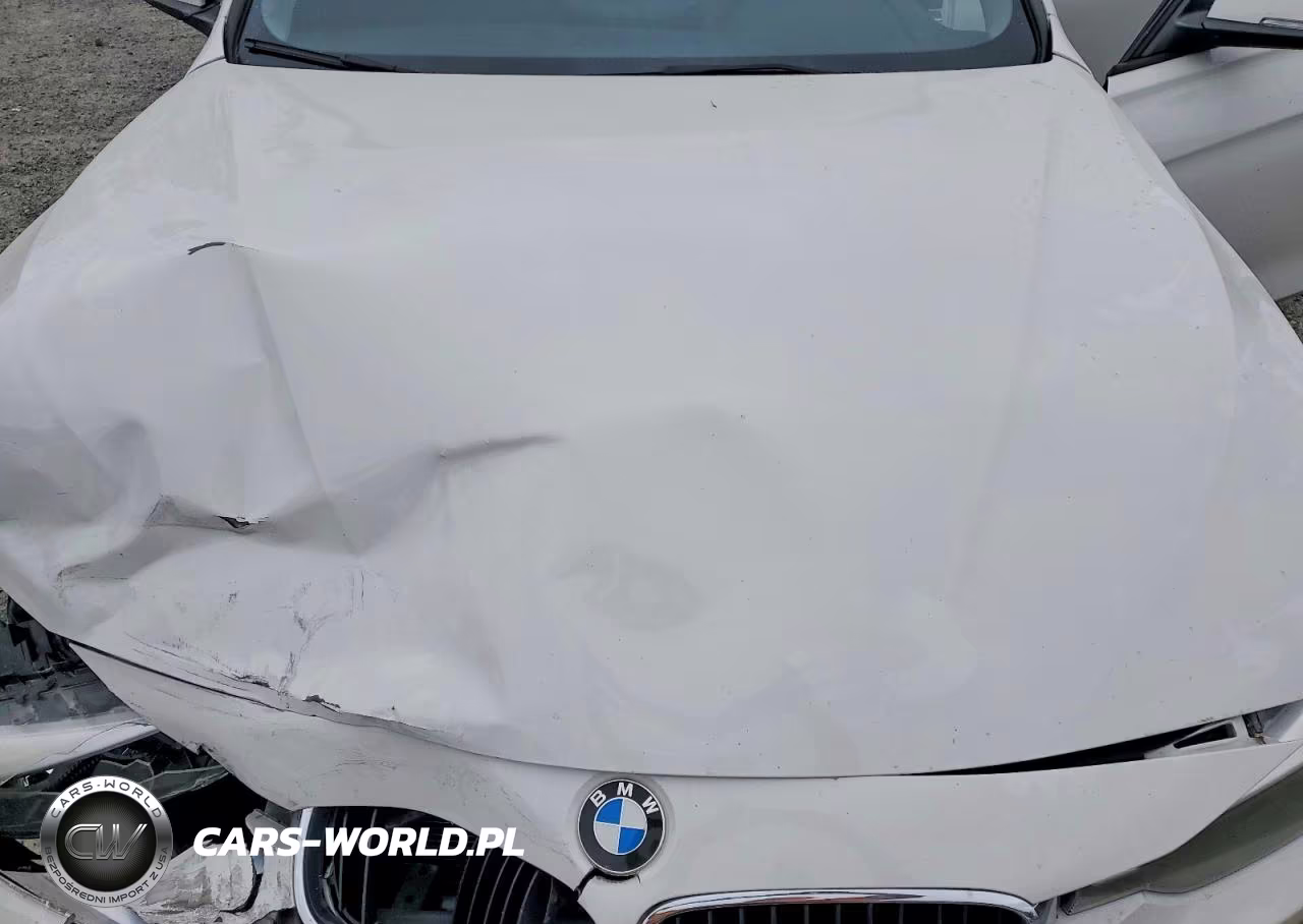 2015 BMW 328 Xi Sulev VIN:WBA3B5G52FNS19444 - 11