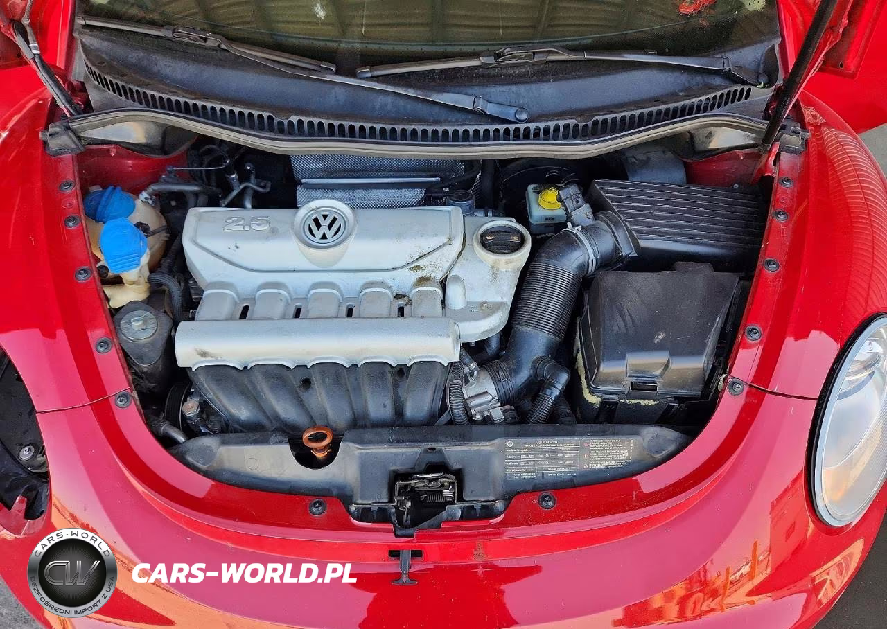 2010 Volkswagen New Beetle VIN:3VWRG3AG6AM023388 - 11