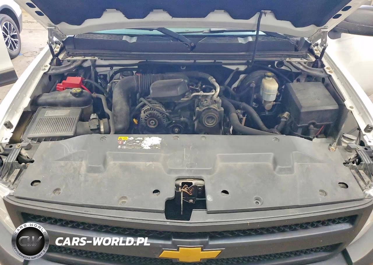 2012 Chevrolet Silverado C1500 VIN:1GCNCPEX2CZ293802 - 11