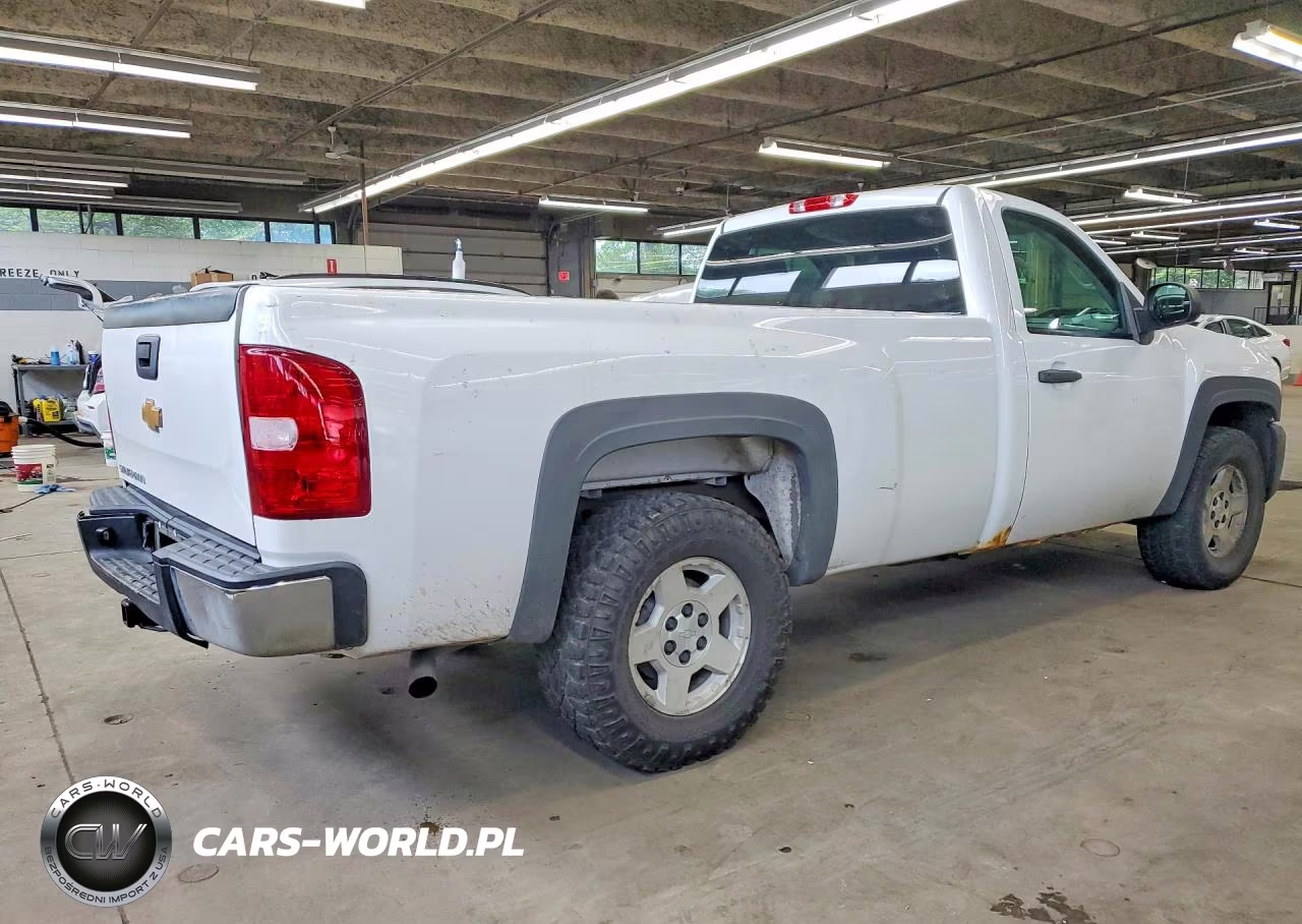 2012 Chevrolet Silverado C1500 VIN:1GCNCPEX2CZ293802 - 3