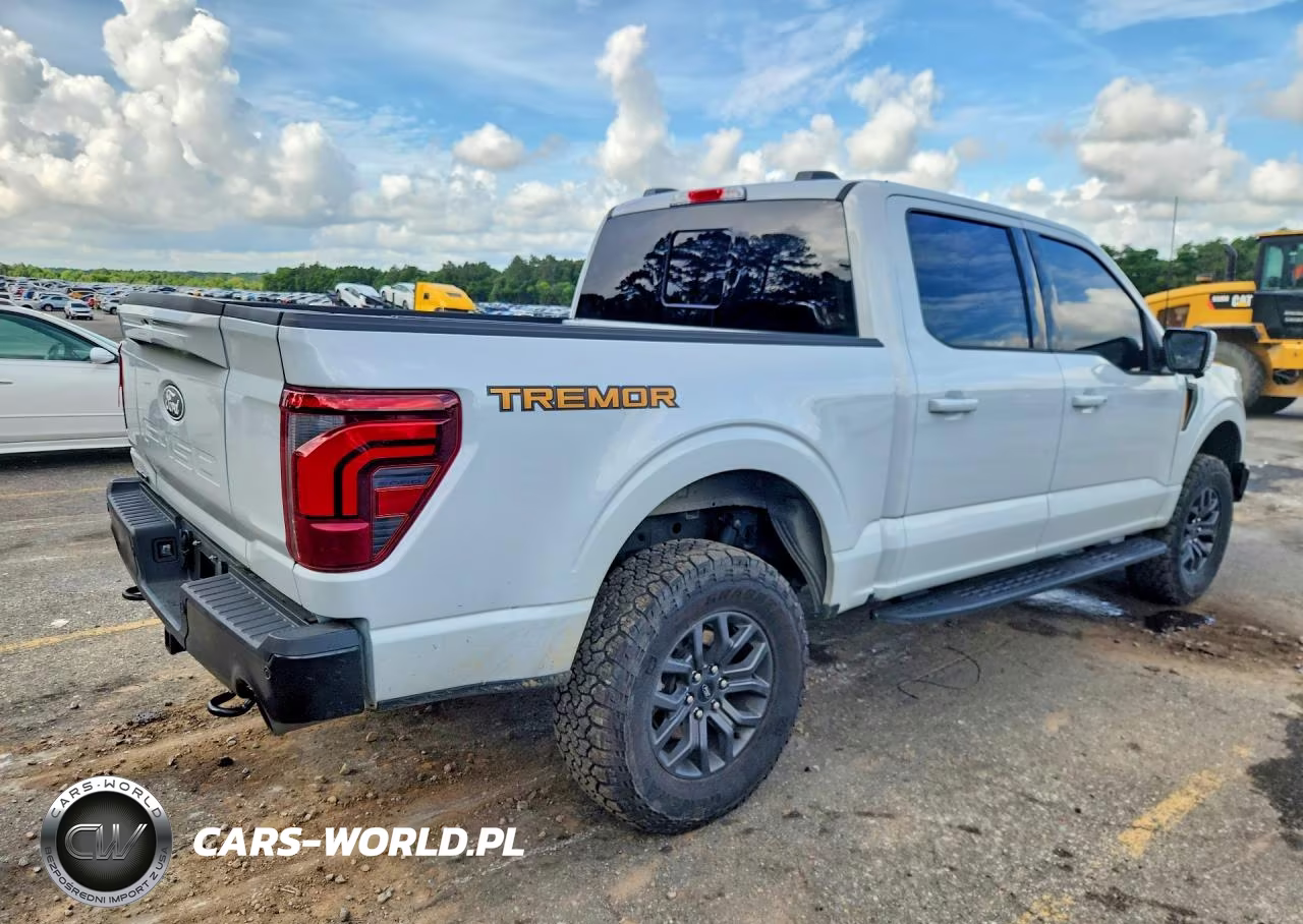 2025 Ford F150 Tremor VIN:1FTFW4L54SFB32752 - 3