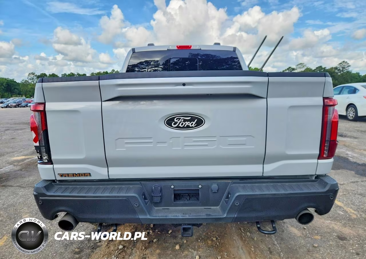 2025 Ford F150 Tremor VIN:1FTFW4L54SFB32752 - 6