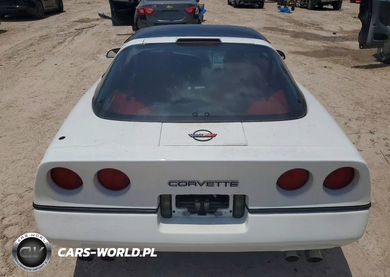 1990 Chevrolet Corvette VIN:1G1YY2385L5109868 - 10