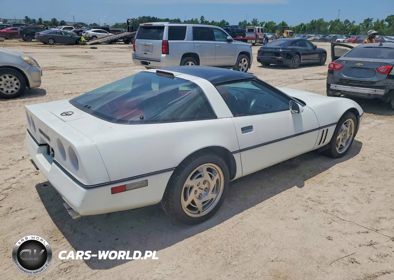 1990 Chevrolet Corvette VIN:1G1YY2385L5109868 - 3