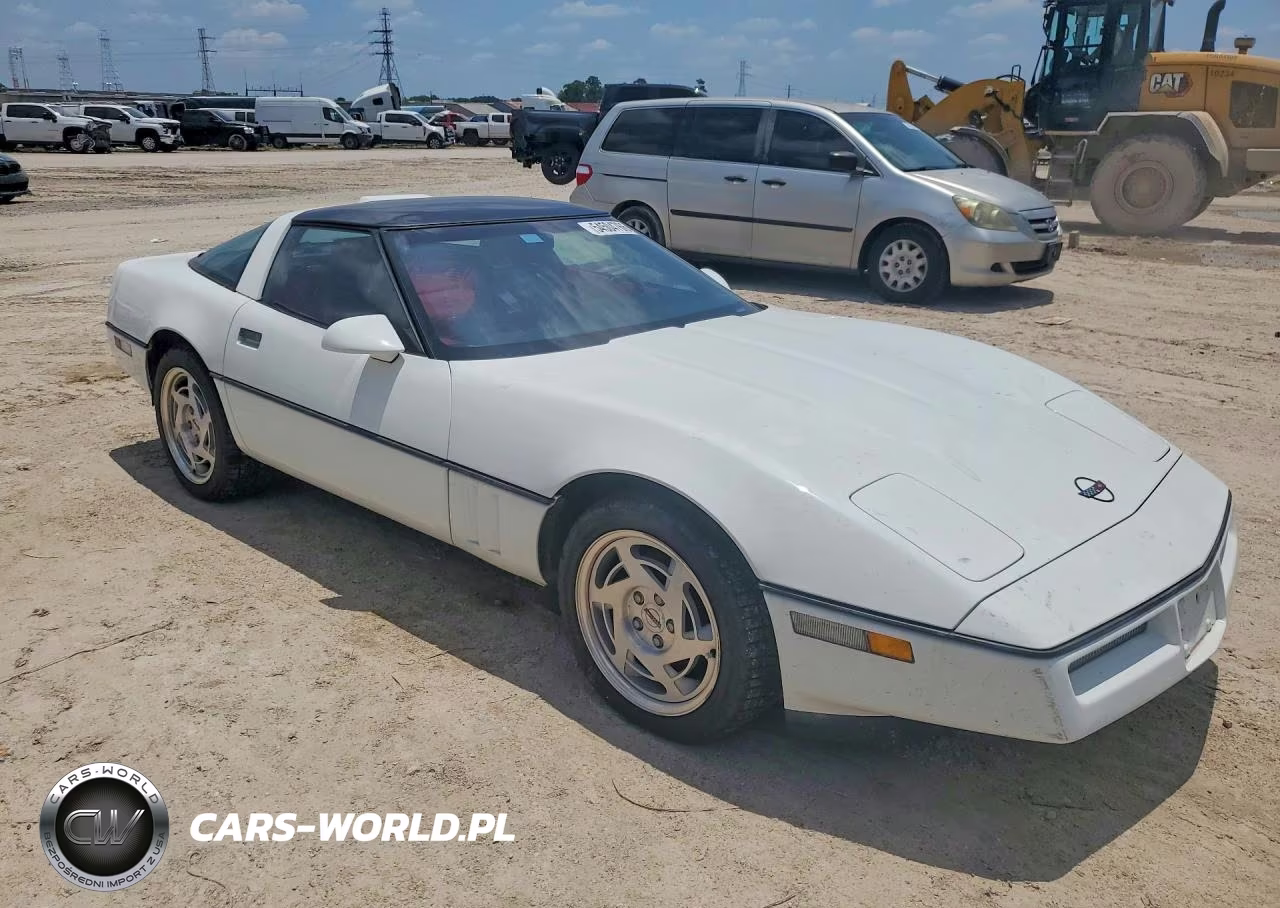 1990 Chevrolet Corvette VIN:1G1YY2385L5109868 - 4
