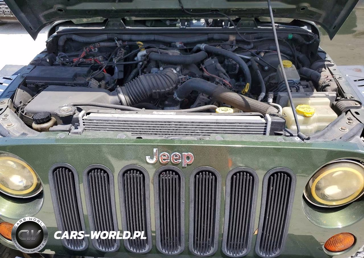 2009 Jeep Wrangler Unlimited Sahara VIN:1J4GA59119L717033 - 11