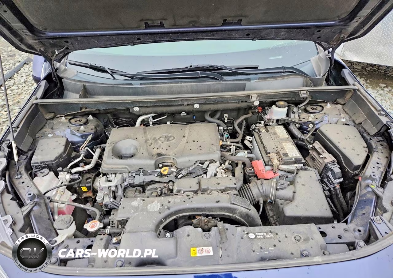 2021 Toyota Rav4 Xle VIN:2T3P1RFV6MW243915 - 12