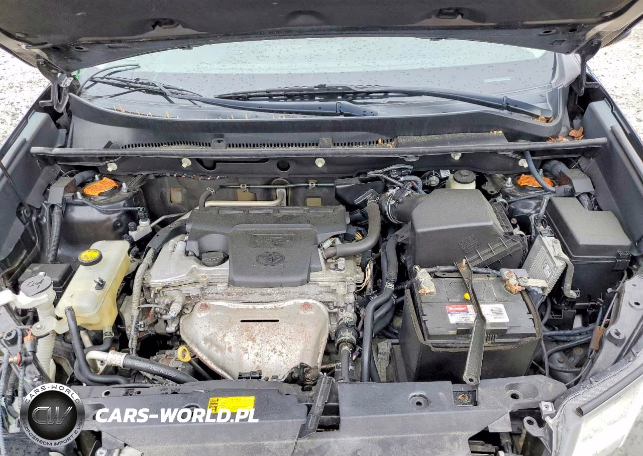 2015 Toyota Rav4 Xle VIN:2T3WFREV7FW142108 - 12