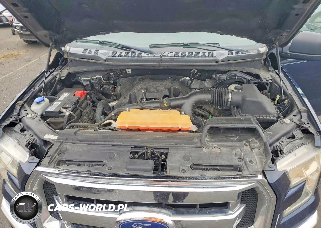 2017 Ford F150 Supercrew VIN:1FTEW1EP9HKC66407 - 11