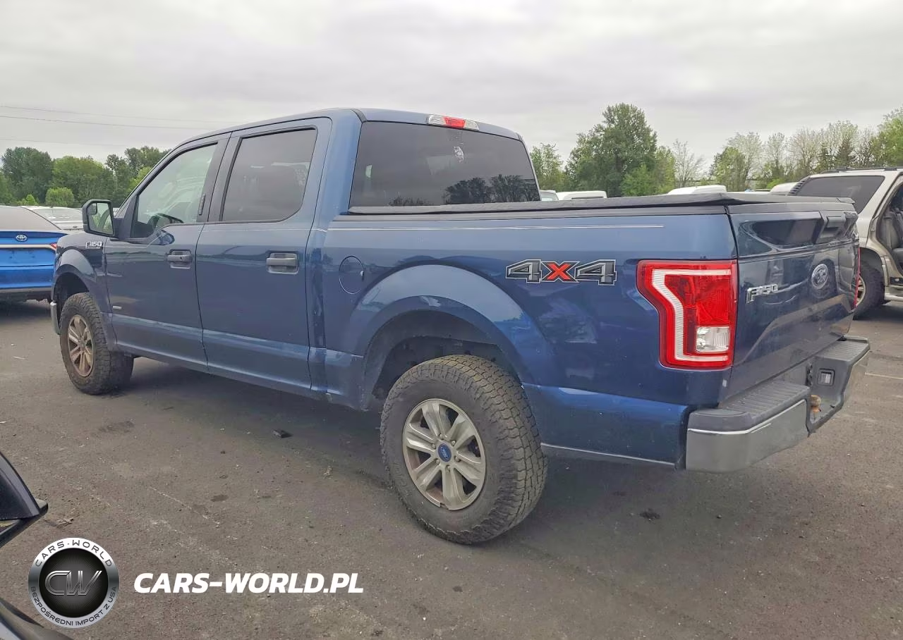 2017 Ford F150 Supercrew VIN:1FTEW1EP9HKC66407 - 2
