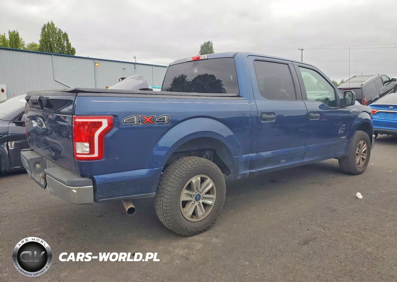 2017 Ford F150 Supercrew VIN:1FTEW1EP9HKC66407 - 3