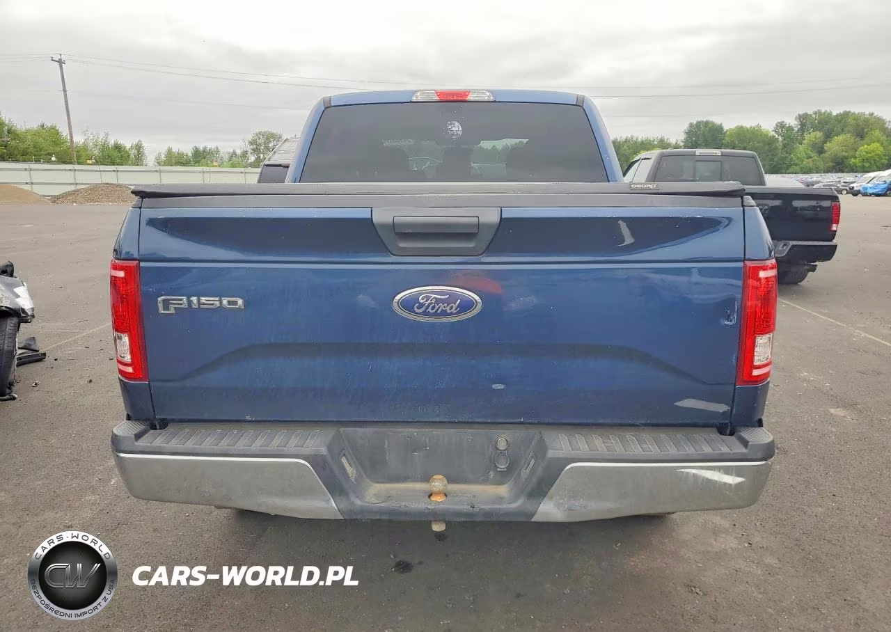 2017 Ford F150 Supercrew VIN:1FTEW1EP9HKC66407 - 6