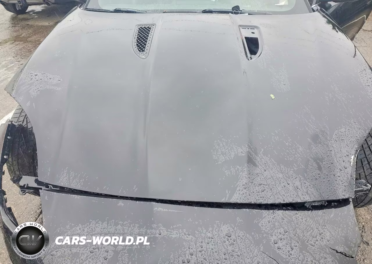 2016 Jaguar F-Type VIN:SAJWA6AT3G8K22662 - 11