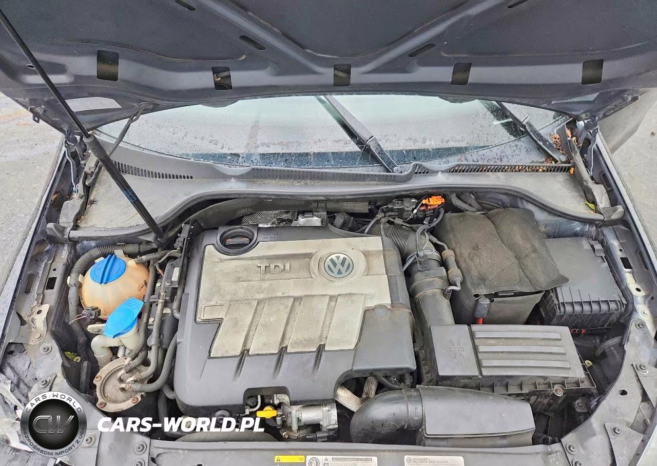 2014 Volkswagen Golf VIN:WVWDM7AJ9EW000203 - 11