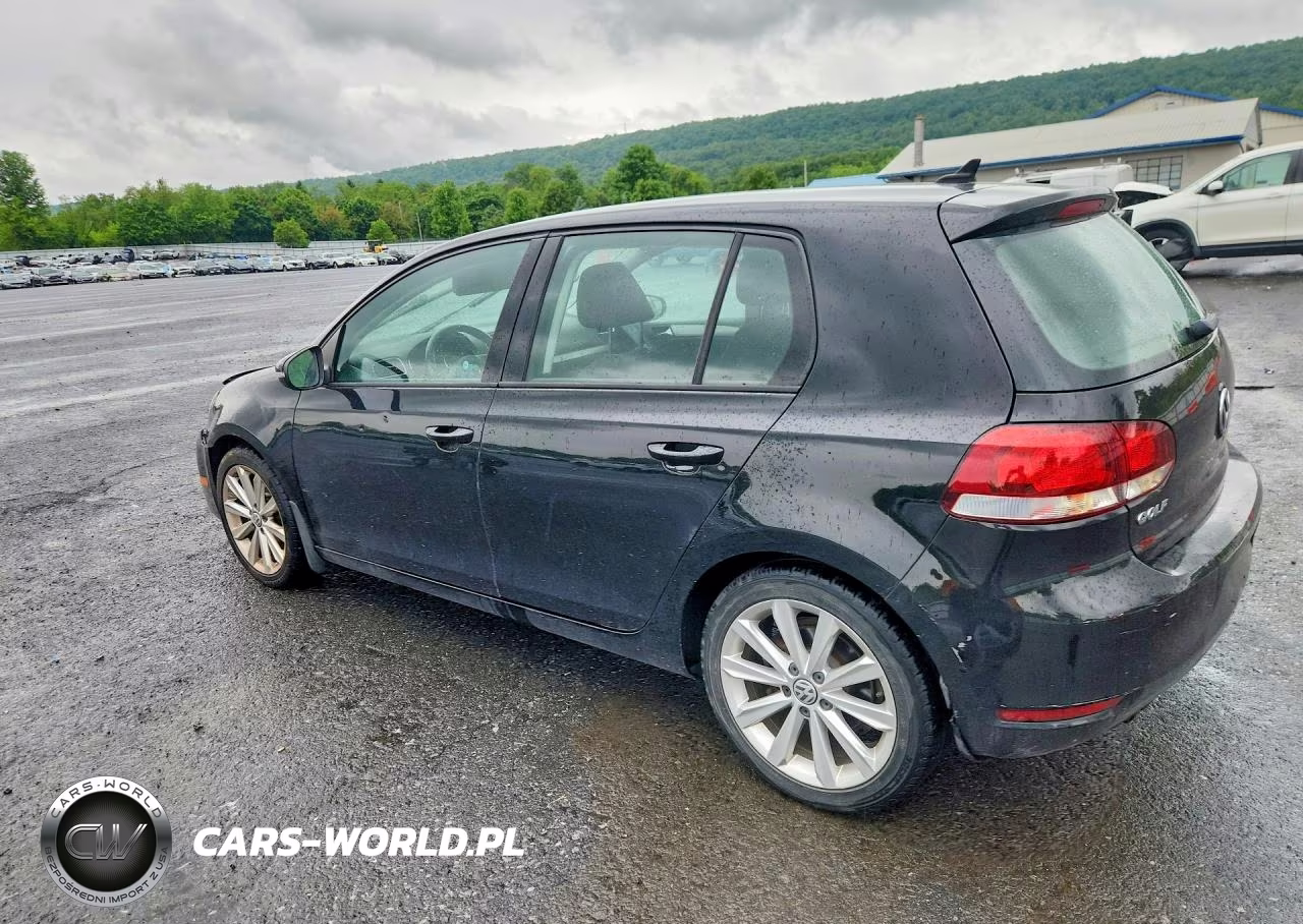 2014 Volkswagen Golf VIN:WVWDM7AJ9EW000203 - 2