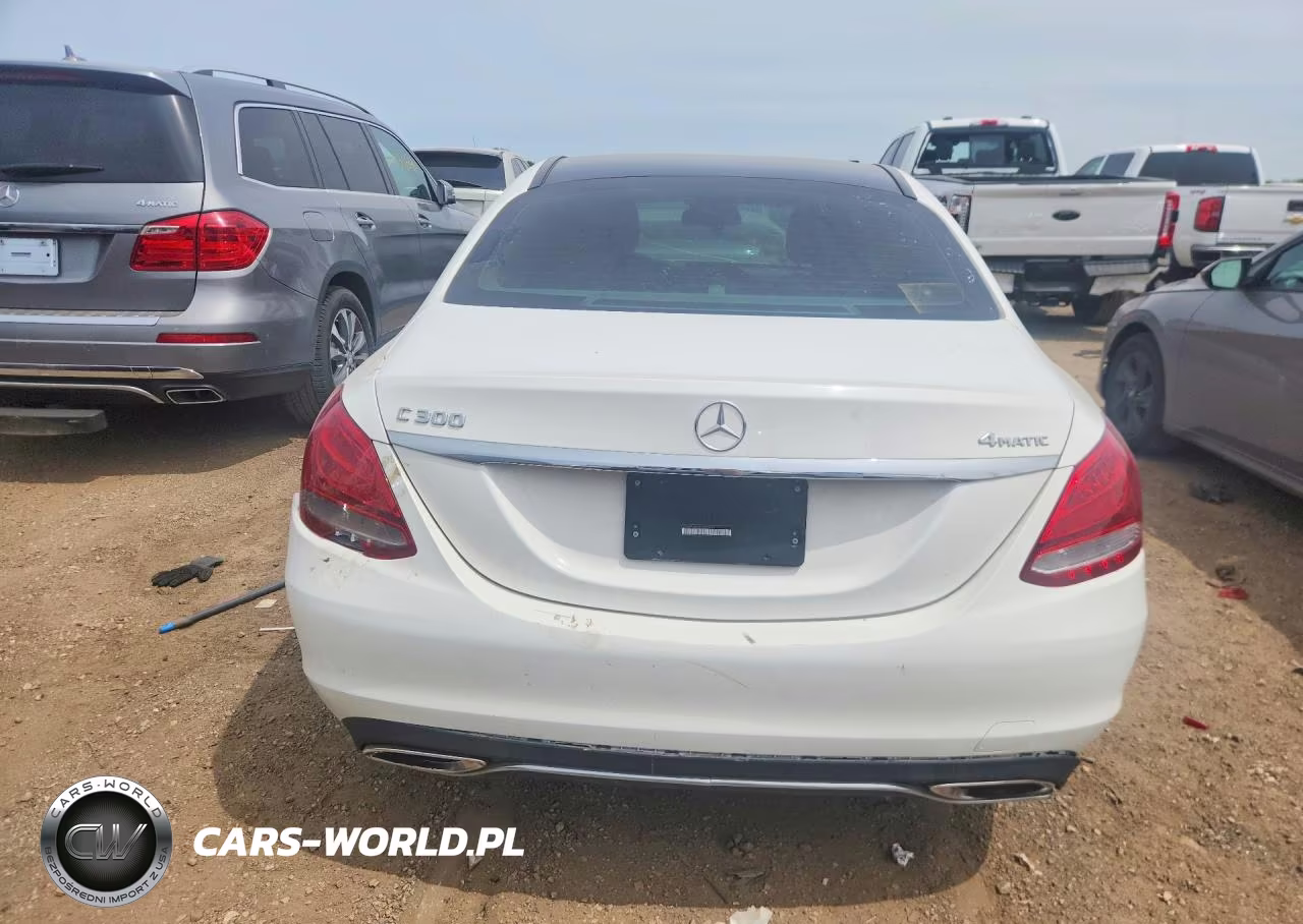 2017 Mercedes-Benz C 300 4Matic VIN:55SWF4KB2HU200923 - 6