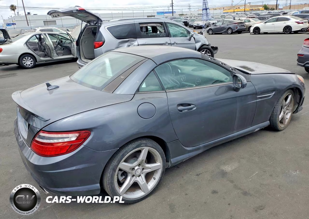 2014 Mercedes-Benz Slk 250 VIN:WDDPK4HA9EF085234 - 3