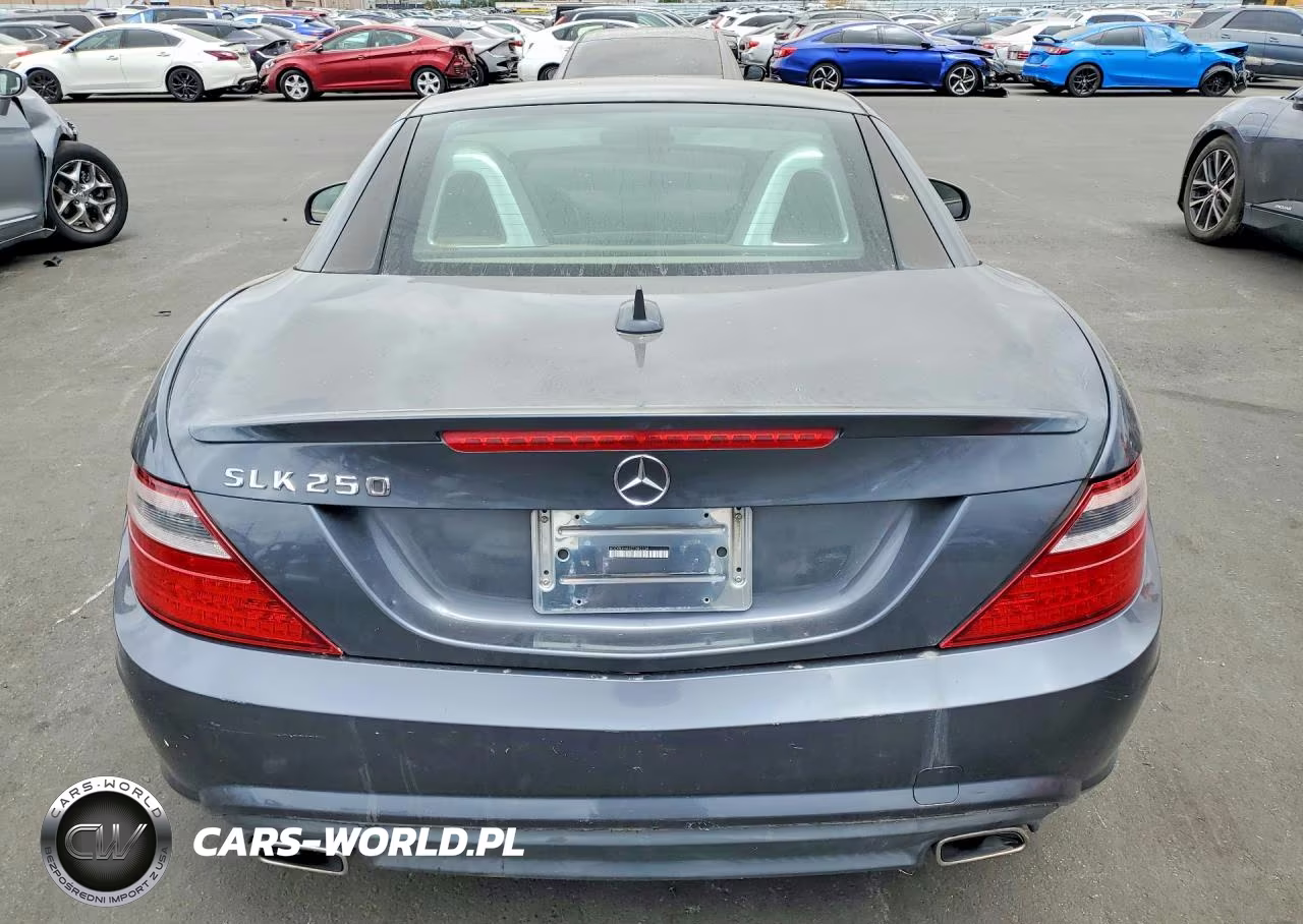 2014 Mercedes-Benz Slk 250 VIN:WDDPK4HA9EF085234 - 6