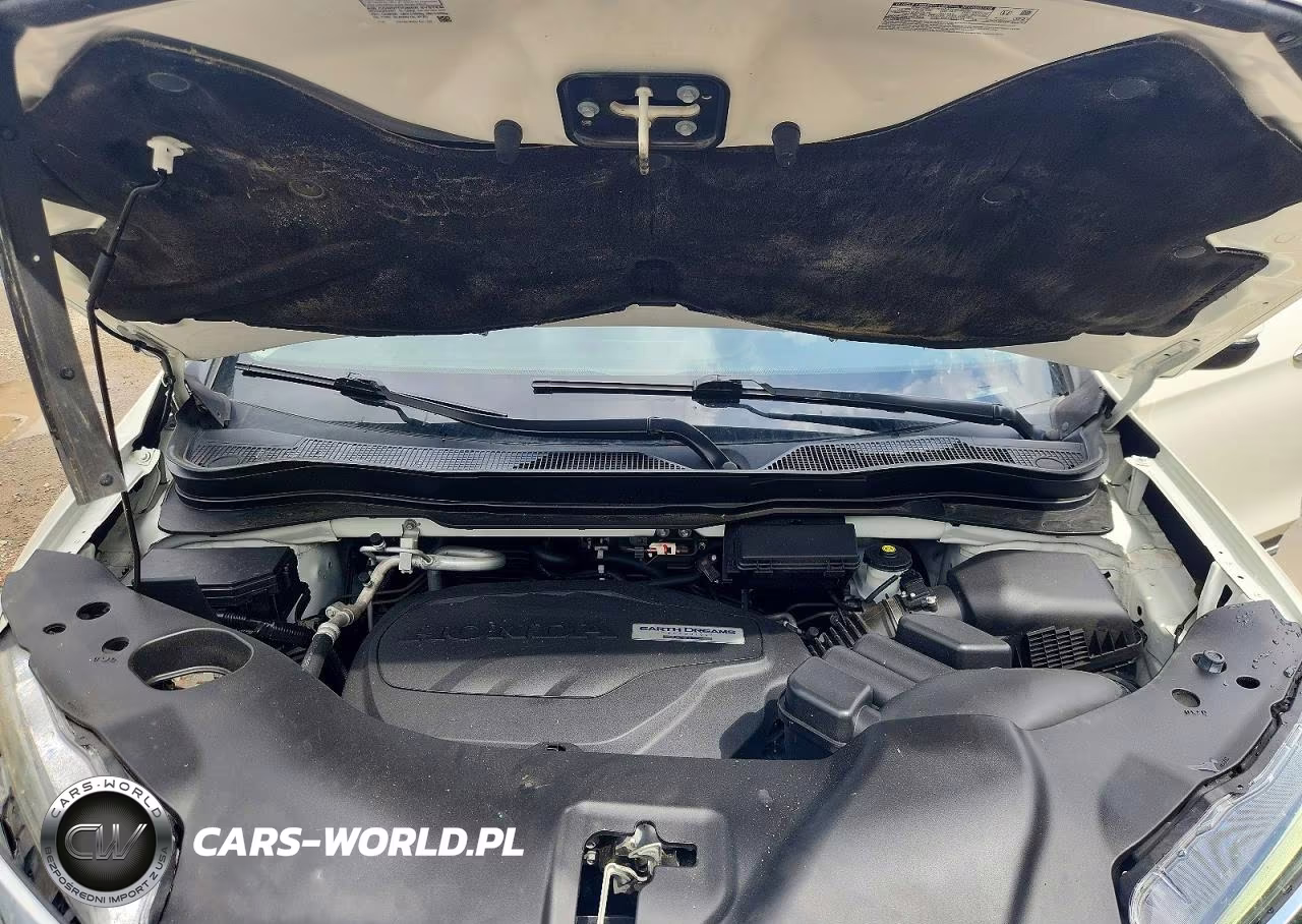 2019 Honda Pilot Elite VIN:5FNYF6H09KB000107 - 12