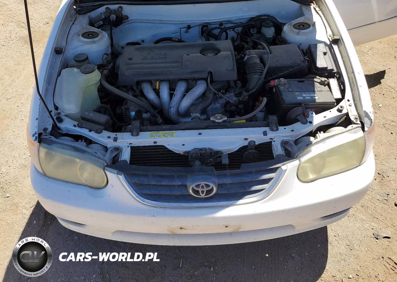 2001 Toyota Corolla Le VIN:1NXBR12E41Z563734 - 11