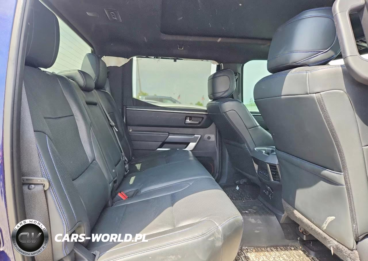 2022 Toyota Tundra Platinum VIN:5TFNA5EC4NX001699 - 10