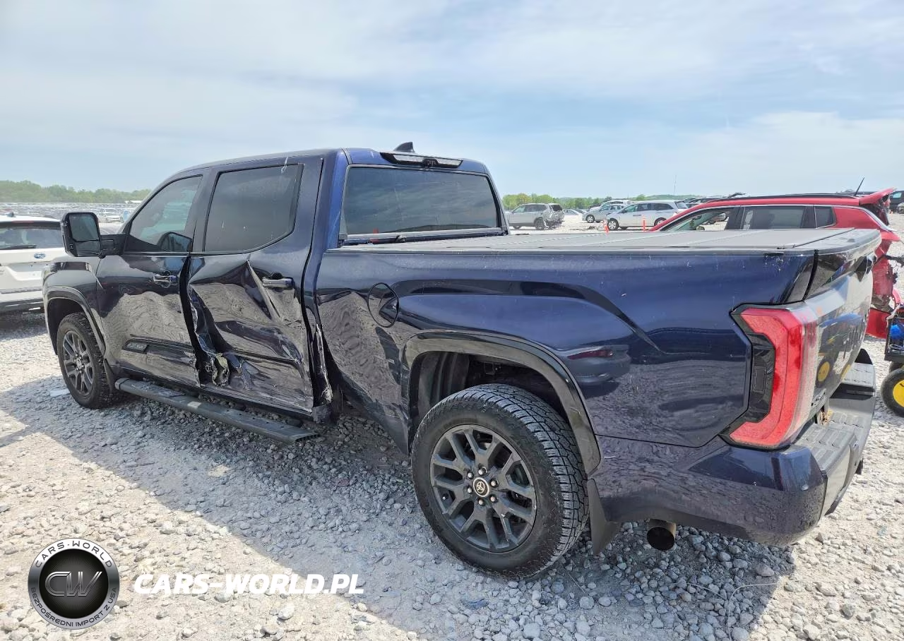2022 Toyota Tundra Platinum VIN:5TFNA5EC4NX001699 - 2