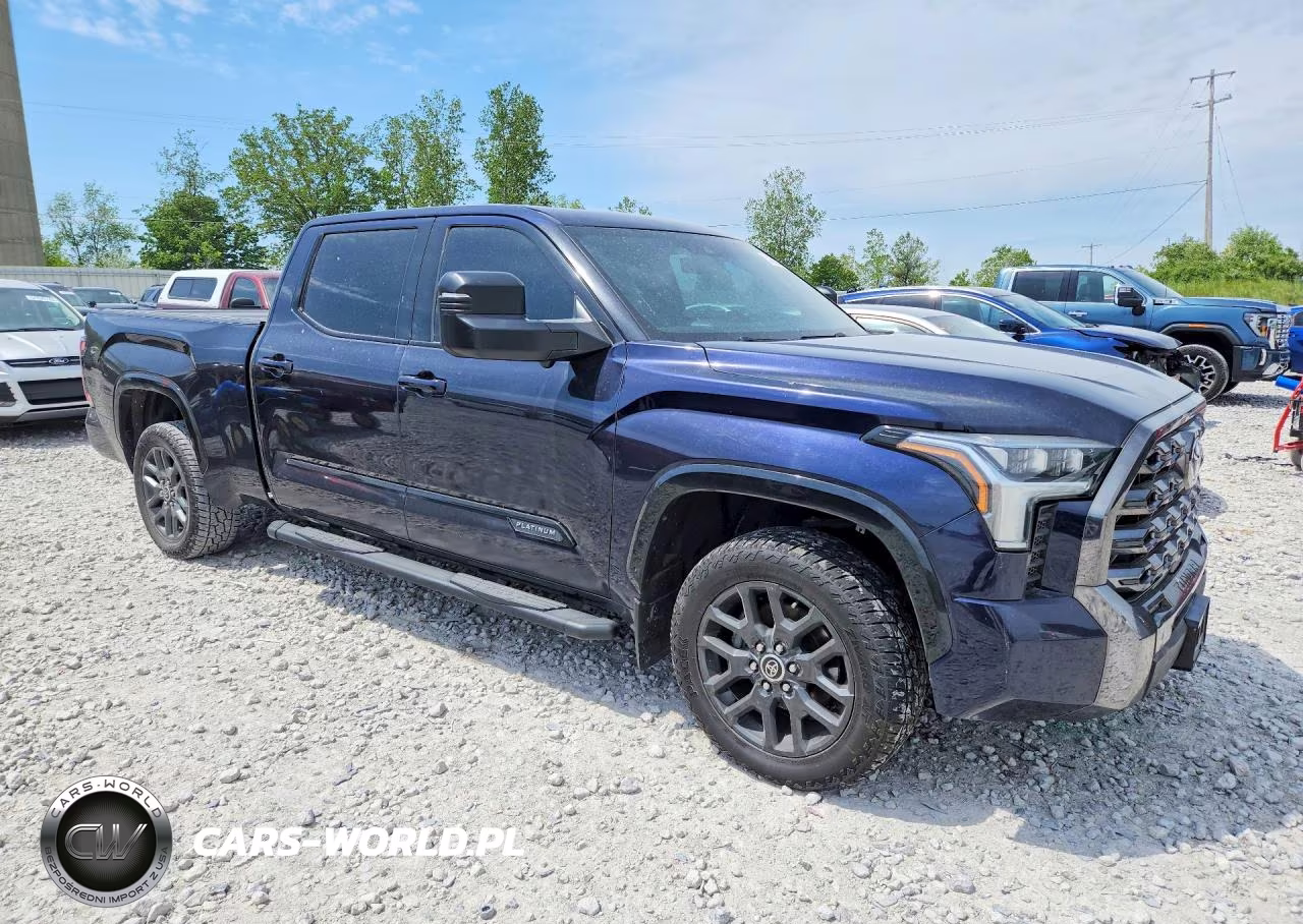 2022 Toyota Tundra Platinum VIN:5TFNA5EC4NX001699 - 4