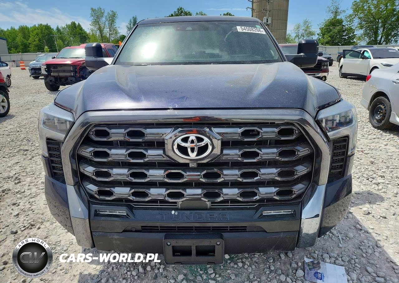 2022 Toyota Tundra Platinum VIN:5TFNA5EC4NX001699 - 5