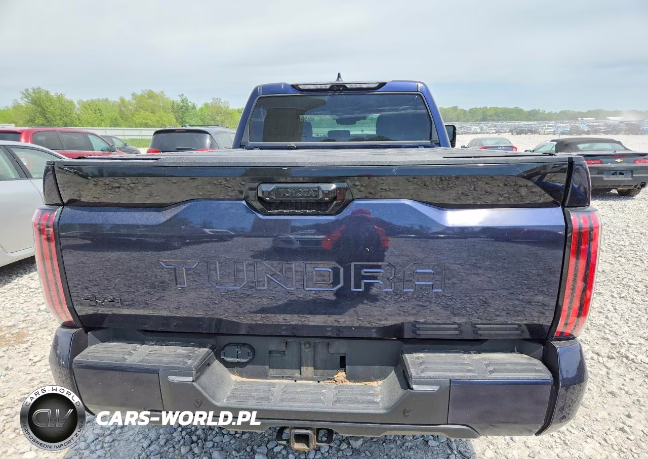 2022 Toyota Tundra Platinum VIN:5TFNA5EC4NX001699 - 6