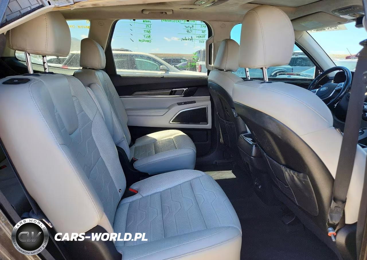 2020 Kia Telluride Sx VIN:5XYP5DHC2LG067218 - 11