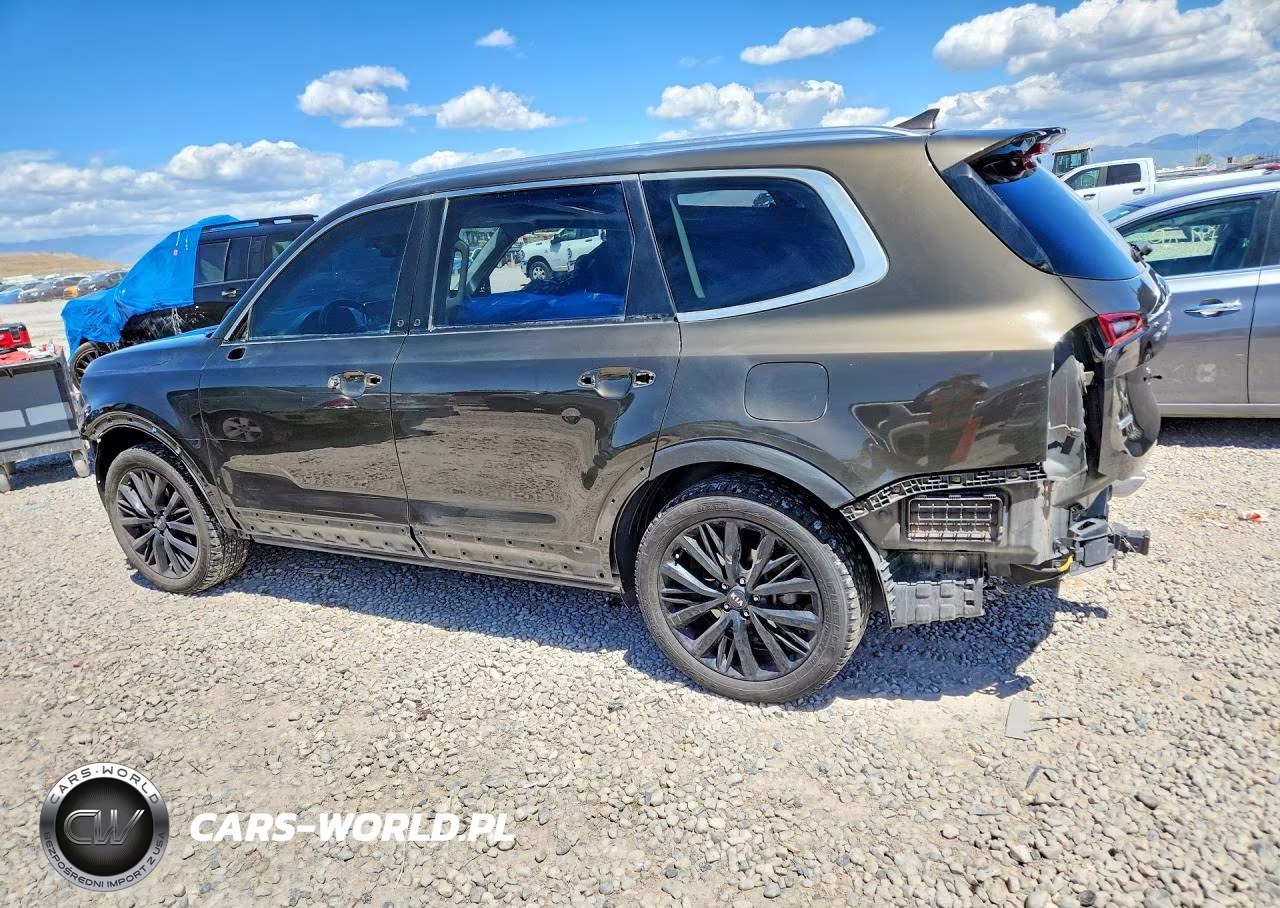 2020 Kia Telluride Sx VIN:5XYP5DHC2LG067218 - 2