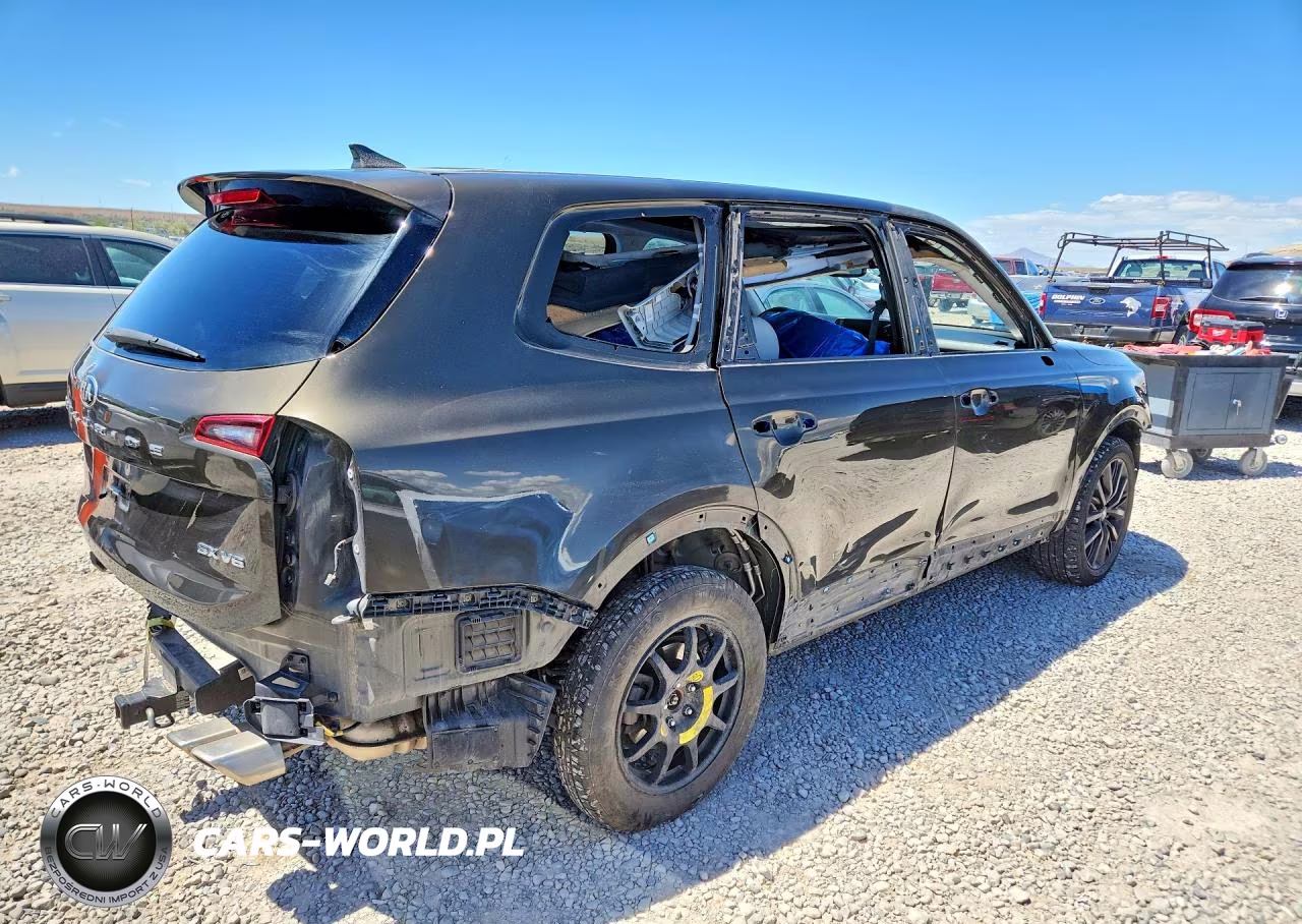 2020 Kia Telluride Sx VIN:5XYP5DHC2LG067218 - 3