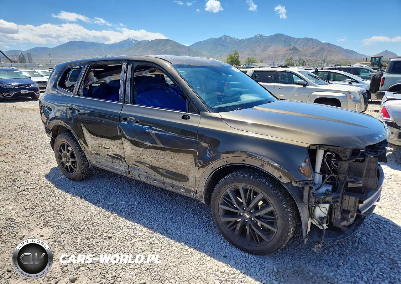 2020 Kia Telluride Sx VIN:5XYP5DHC2LG067218 - 4