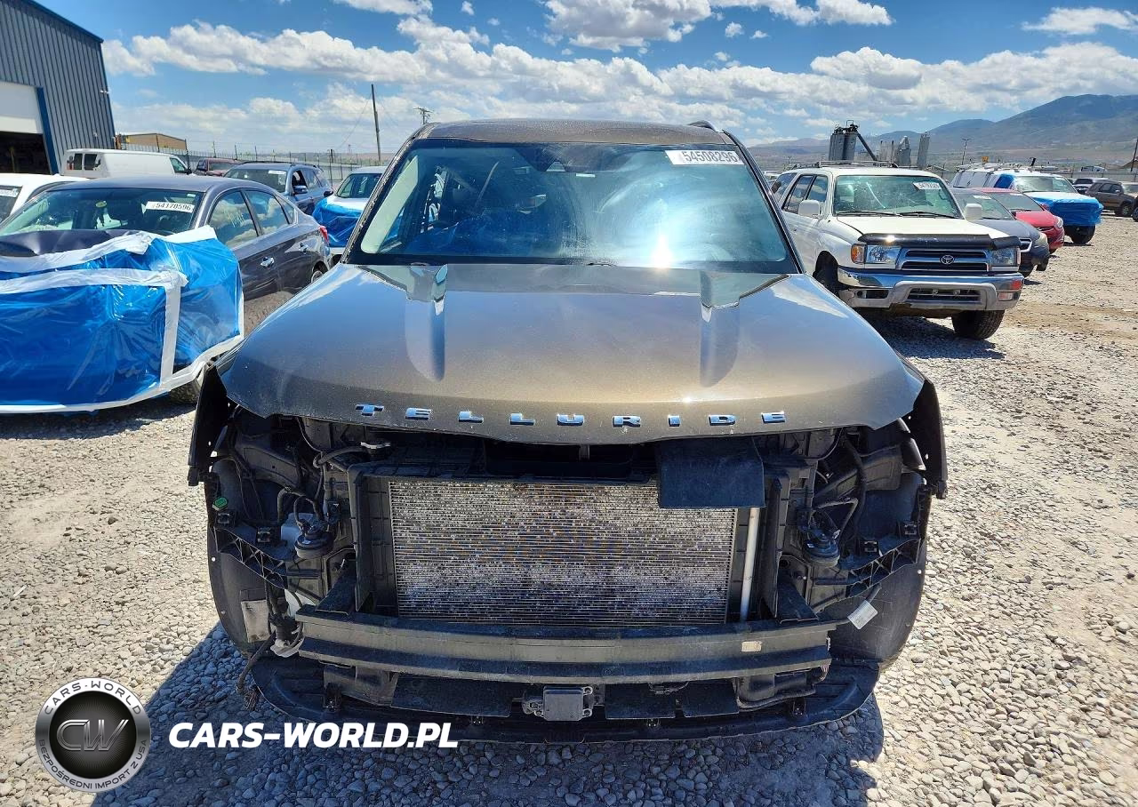 2020 Kia Telluride Sx VIN:5XYP5DHC2LG067218 - 5