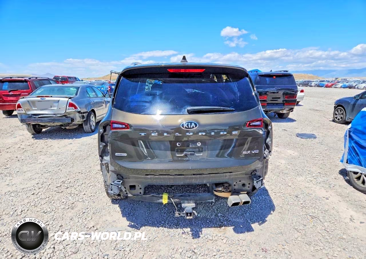 2020 Kia Telluride Sx VIN:5XYP5DHC2LG067218 - 6