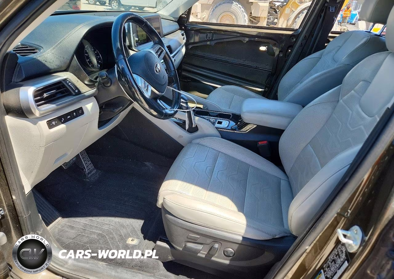 2020 Kia Telluride Sx VIN:5XYP5DHC2LG067218 - 7