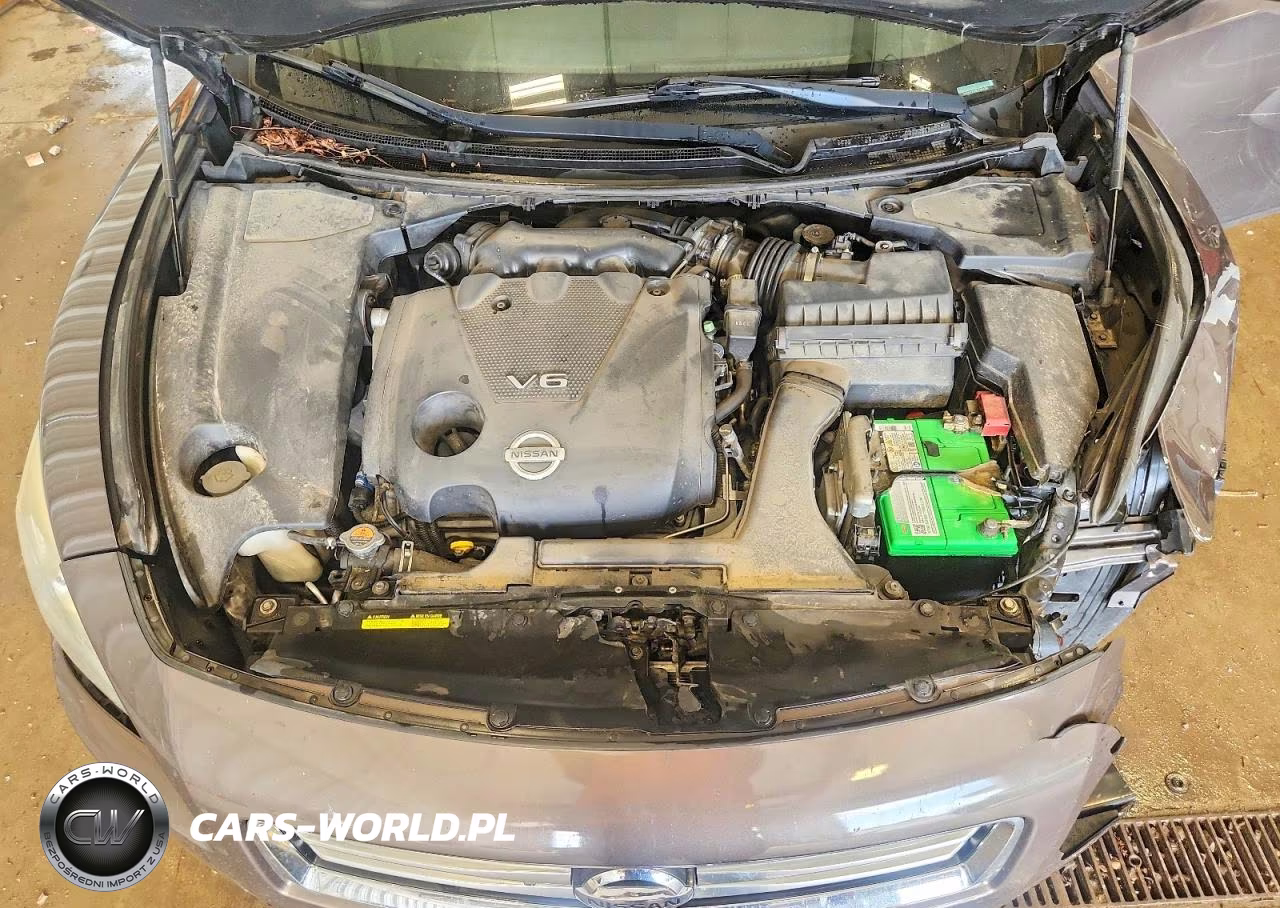 2013 Nissan Maxima 3.5 S VIN:1N4AA5AP6DC824265 - 11