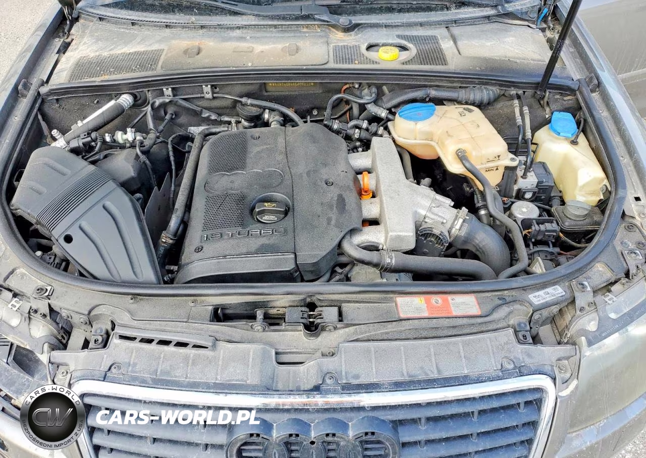 2006 Audi A4 1.8 Cabriolet VIN:WAUAC48H46K008920 - 11